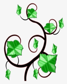Common Ivy Computer Icons Vine Drawing - Clipart Ivy, HD Png Download, Transparent PNG