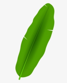 Palm Leaf Png - Banana Leaf Clip Art, Transparent Png, Transparent PNG