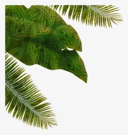 #palmtree #palm #leaves #fantasy #nature #green - Nature Fantasy Png, Transparent Png, Transparent PNG