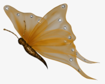 Transparent Mariposas Png - Transparent Background Butterfly Clipart Png, Png Download, Transparent PNG