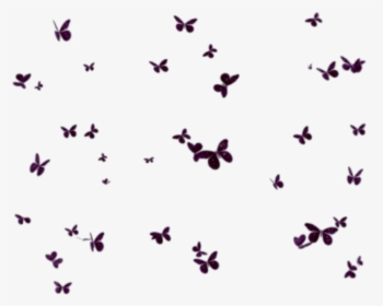 #butterflies #mariposas #mariposa #butterfly #group - Fundo De Borboletas Em Png, Transparent Png, Transparent PNG