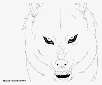 Wolf Face Drawing - Line Art, HD Png Download, Transparent PNG