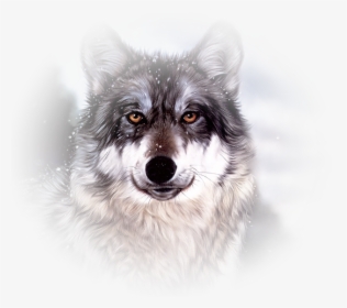Wolf Face, HD Png Download, Transparent PNG