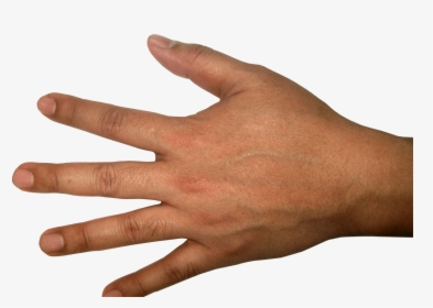 Five Finger Hand Png Image Purepng Free Transparent - Human Hand Transparent Background, Png Download, Transparent PNG
