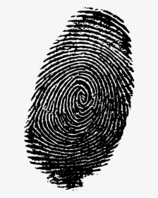 Finger Print Png - Transparent Background Fingerprint Png, Png Download, Transparent PNG