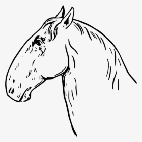 Ram Headed Horse Head Svg Clip Arts - La Cabeza Del Caballo, HD Png Download, Transparent PNG