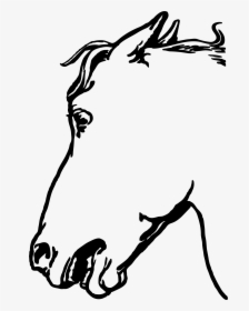 Horsehead Clip Arts - Gambar Sketsa Kepala Kuda, HD Png Download, Transparent PNG