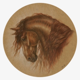 Graphite And Coloured Pencils With Touches Of Sepia - Stallion, HD Png Download, Transparent PNG