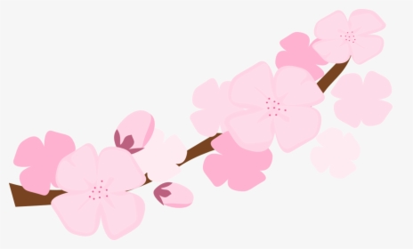 Sakura Blossom Clipart Symbol - Cartoon Cherry Blossom Transparent, HD Png Download, Transparent PNG