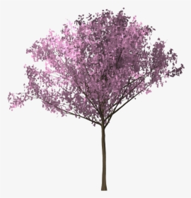 Clip Art Arvore Sakura - Background Bunga Sakura, HD Png Download, Transparent PNG