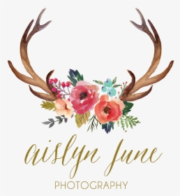 Antler Watercolor Painting Clip - Antlers And Flowers Clipart, HD Png Download, Transparent PNG