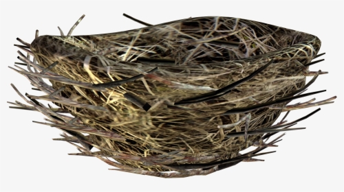 Nest - Bird Nest Transparent Background, HD Png Download, Transparent PNG