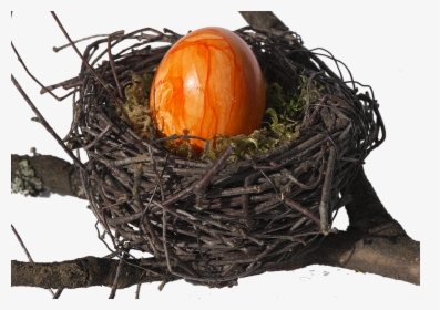 Bird S Nest, Nest, Easter Nest, Easter Decoration - Vogelnest Transparent, HD Png Download, Transparent PNG