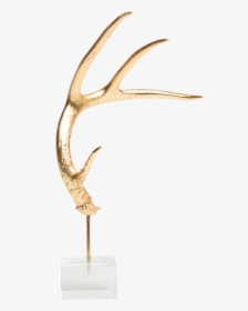 Acrylic Antler Mount - Wood, HD Png Download, Transparent PNG