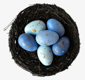 Decorative Nest With Blue Eggs - Egg, HD Png Download, Transparent PNG