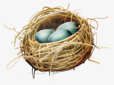Bird Nest Egg - Bird Nest With Eggs Clipart, HD Png Download, Transparent PNG