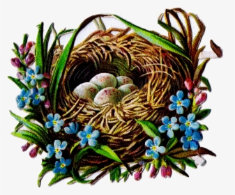 Bird Nest And Egg Graphics - Bird Nest, HD Png Download, Transparent PNG
