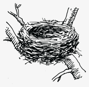 Free Clipart Of A Bird Nest - Clip Art Bird Nest, HD Png Download, Transparent PNG
