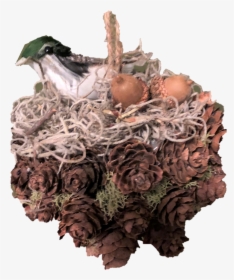 Transparent Bird Nest Png - Duck, Png Download, Transparent PNG