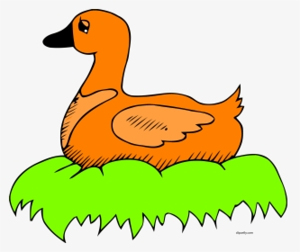 Orange Duck In Nest Clip Art Clipart Png - Duck On The Nest Clipart, Transparent Png, Transparent PNG