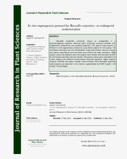 Transparent Serpentinas Png - Chemical Test Gymnema Sylvestre, Png Download, Transparent PNG