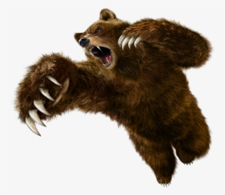 Grizzly Bear Png - Tekken 6 Kuma, Transparent Png, Transparent PNG