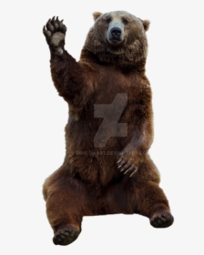 Grizzly-bear - Grizzly Bear Png Transparent, Png Download, Transparent PNG