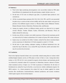 Document, HD Png Download, Transparent PNG