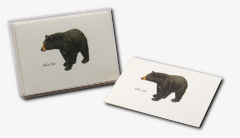 Transparent Black Bear Png - Grizzly Bear, Png Download, Transparent PNG