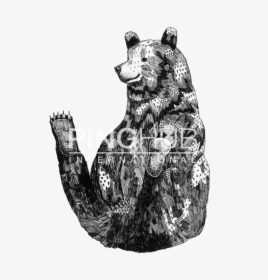Grizzly Bear , Png Download - Kodiak Bear, Transparent Png, Transparent PNG