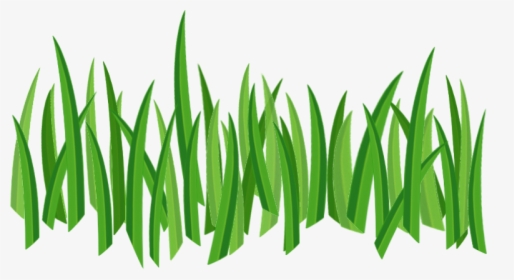 Grass - Grass Icon Png, Transparent Png, Transparent PNG