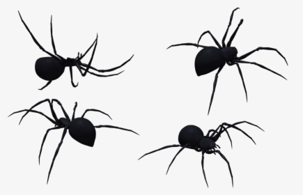 Black Widow Spider Art - Spider, HD Png Download, Transparent PNG