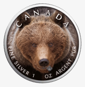 Ibca201956 1 - Grizzly Bear, HD Png Download, Transparent PNG
