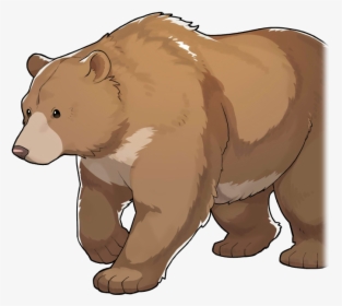 120028 01 Base Portrait - Grizzly Bear, HD Png Download, Transparent PNG