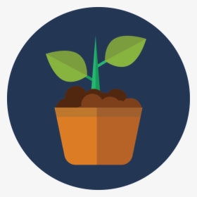 Growth, HD Png Download, Transparent PNG