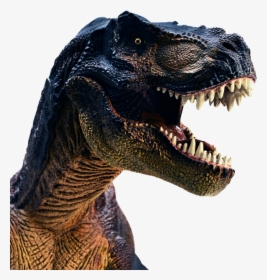 Esqueleto T-Rex PNG transparente - StickPNG