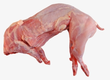 Rabbit, Whole, Raw, Cooking, Food, Meat, Uncooked - Rabbit Meat, HD Png Download, Transparent PNG