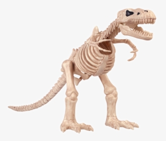 Halloween T Rex Skeleton, HD Png Download, Transparent PNG