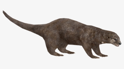 Otter Png Pic - Otter Zoo Tycoon 2, Transparent Png, Transparent PNG