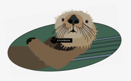 Transparent Otter Png - California Sea Lion, Png Download, Transparent PNG