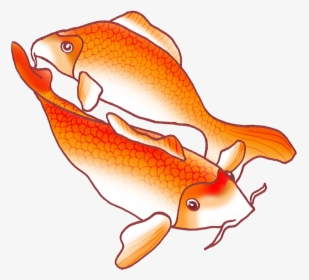 Two Fish Png - Orange Koi Fish Drawing, Transparent Png, Transparent PNG