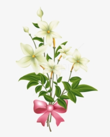 Free Png Download White Flowers With Pink Bow Png Images - Pink Jasmine Flower Clipart, Transparent Png, Transparent PNG