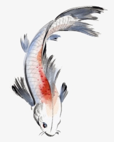 #watercolor #painting #fish #koi #koifish #watercolour - Watercolor Koi Fish Png, Transparent Png, Transparent PNG