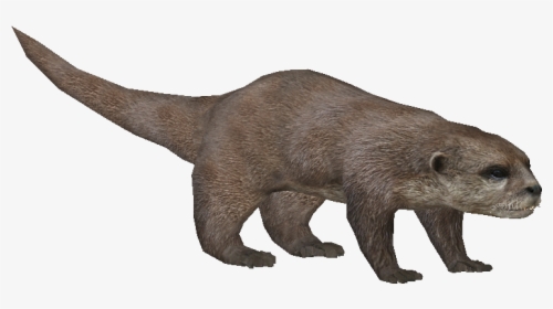Asianotterludo - Zoo Tycoon Otter Png, Transparent Png, Transparent PNG