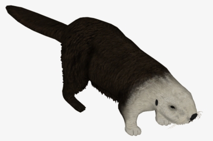 Northern Sea Otter , Png Download - Punxsutawney Phil, Transparent Png, Transparent PNG