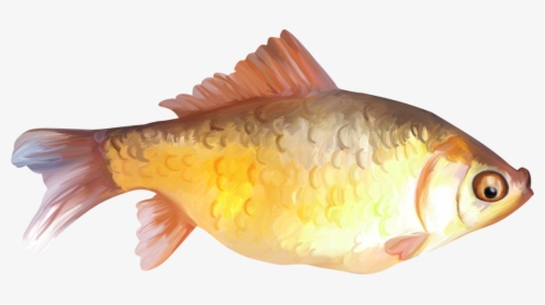 Paint Fish Clipart - Fish Painting Png, Transparent Png, Transparent PNG