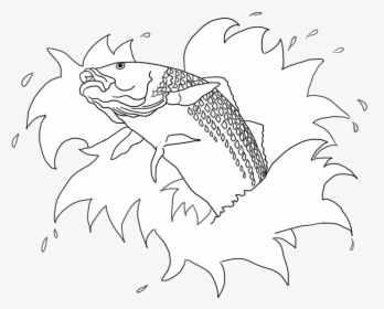 Drawing Of Koi Fish In Water With Waves - Illustration, HD Png Download, Transparent PNG