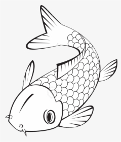 Koi Fish Clipart Black And White - Fish Art, HD Png Download, Transparent PNG