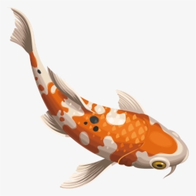 #koifish #koi #fish - Koi Fish Vector Png, Transparent Png, Transparent PNG