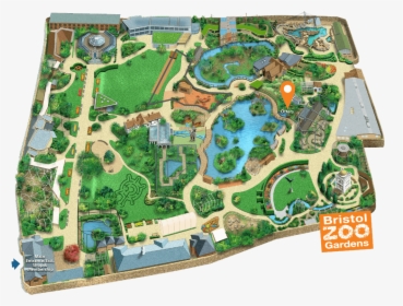 Bristol Zoo Gardens Map - Bristol Zoo Map Pdf, HD Png Download, Transparent PNG